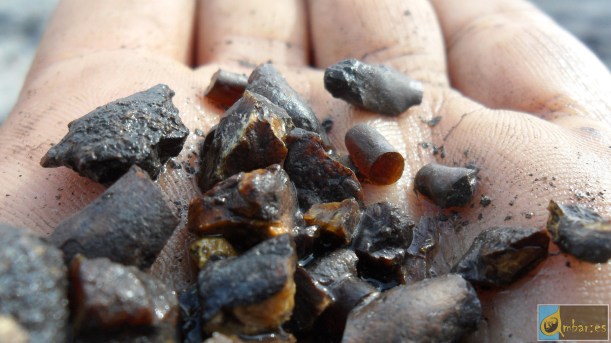 Amber pieces recovered in a sieve after washing