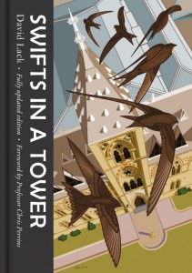 Cover of 2018 edition of Swifts in a Tower by David Lack