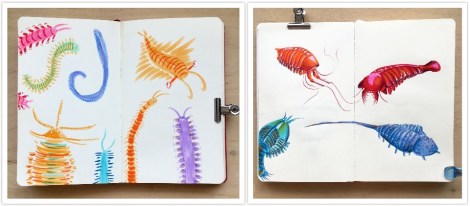 Two images of coloured drawings of extinct marine creatures side by side