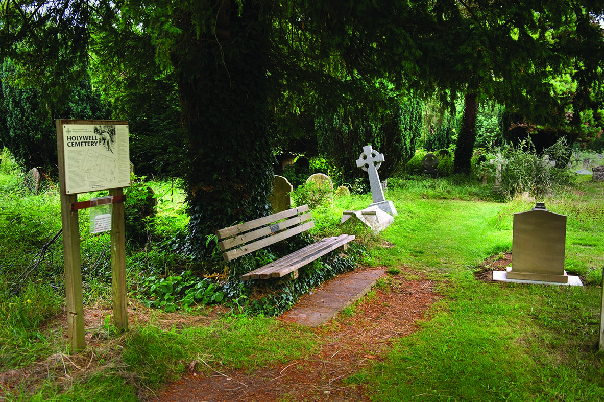 Celebrate science in a cemetery – More Than A Dodo