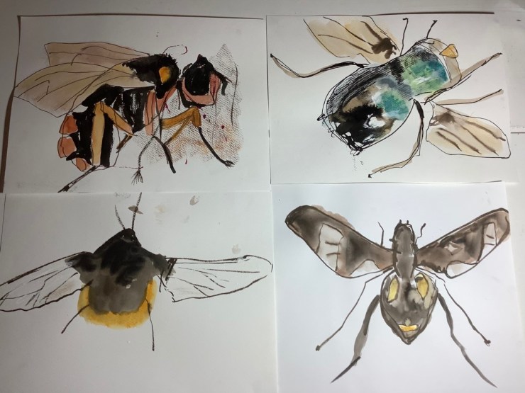 Artwork by @CatherineRRye