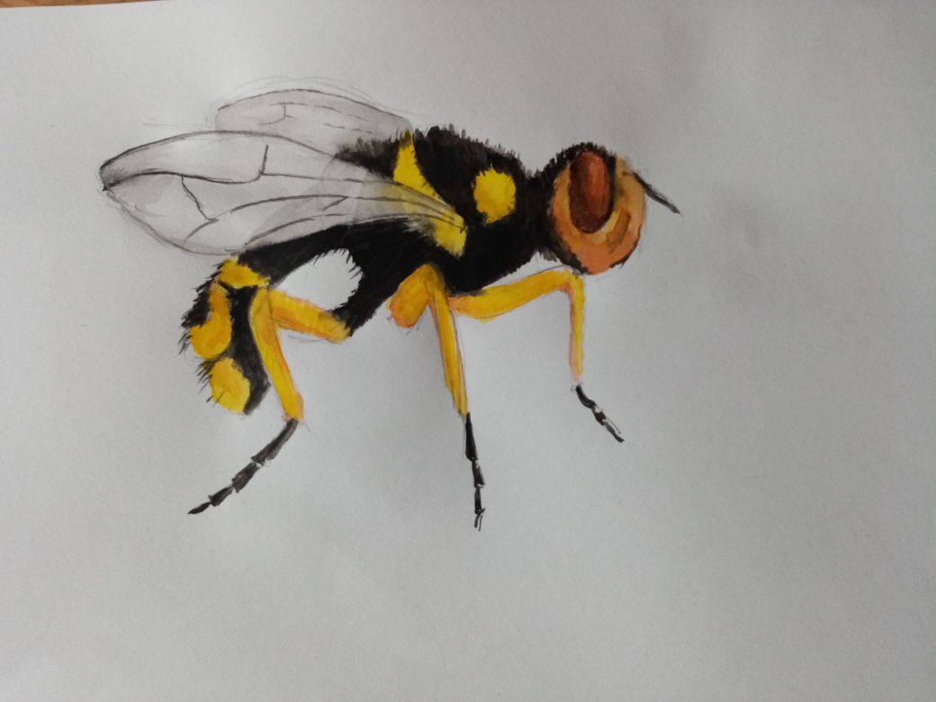 Artwork by @keeleyfibreart