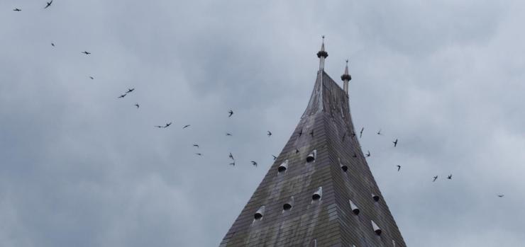 swifts flying around the museum tower against a cloudy sky