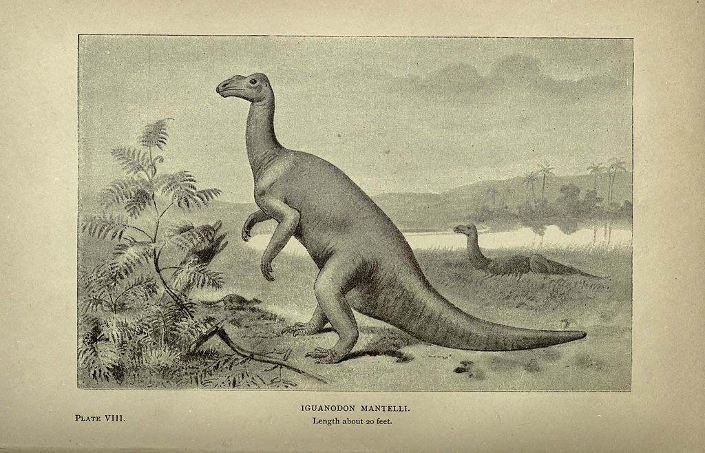 Line drawing of a dinosaur on a plain with hills in the background