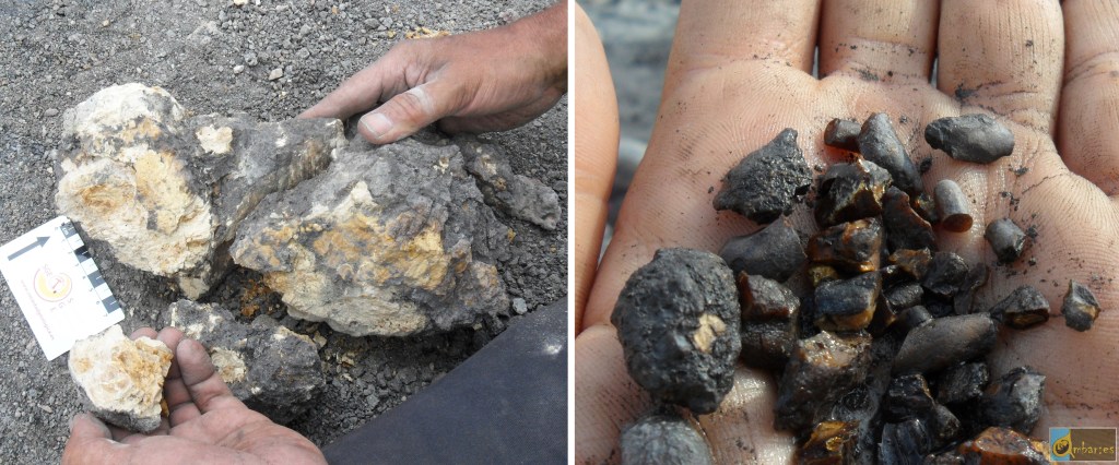 Large amber piece produced by roots (left) and assemblage of smaller amber pieces (right) from Ariño (Teurel, Spain).
