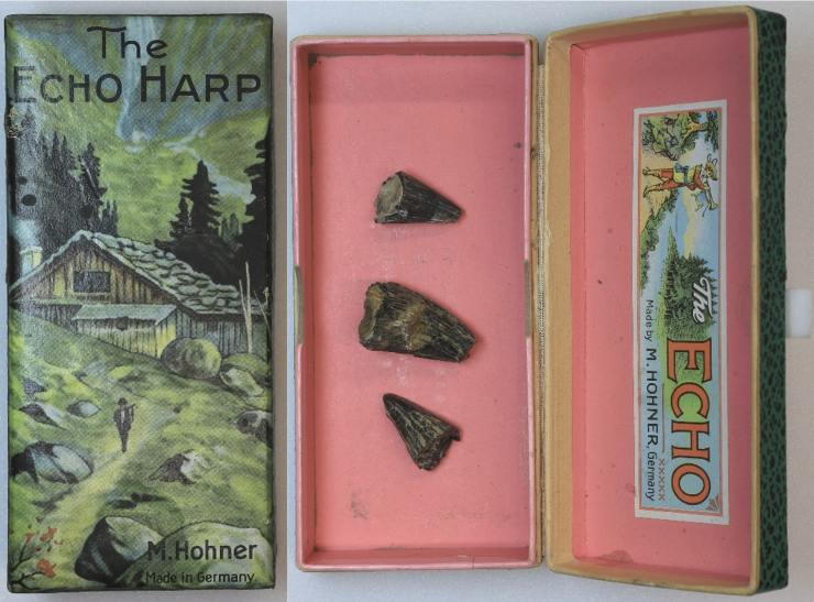 The outside and inside of a box, showing its contents