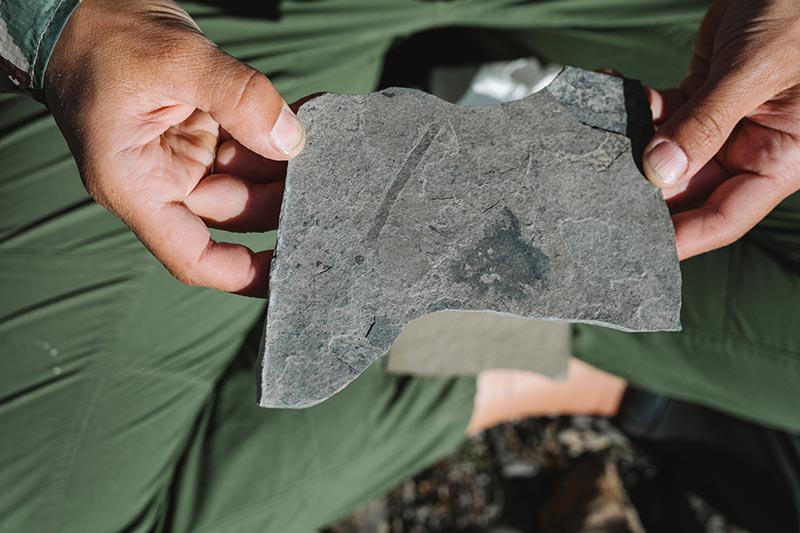 Close-up of hands holding a slab of dark shale rock with faint fossil-like impressions.
