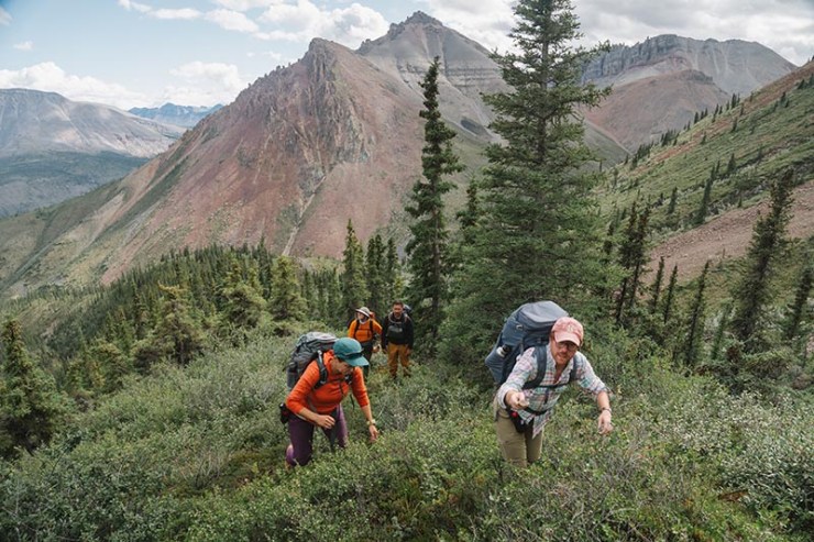 Dr Ross Anderson climbs a steep, green slope surrounded by pine trees and dramatic mountain scenery.