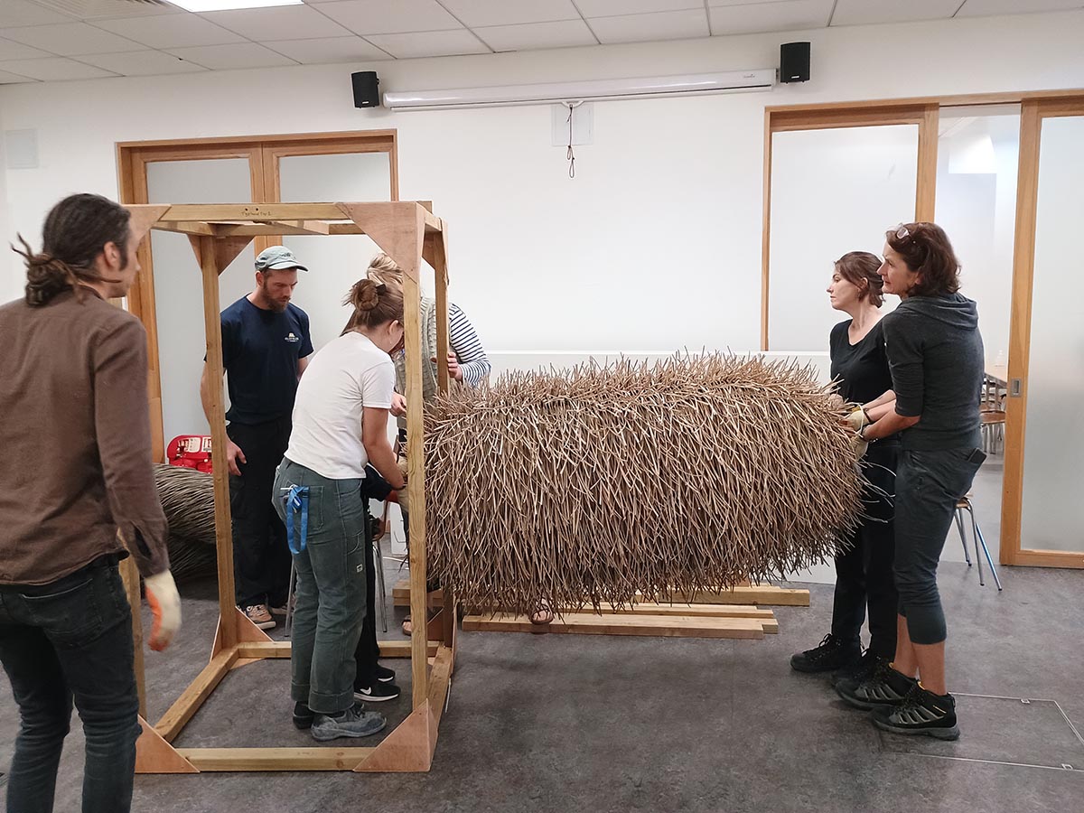 museum – More Than A Dodo