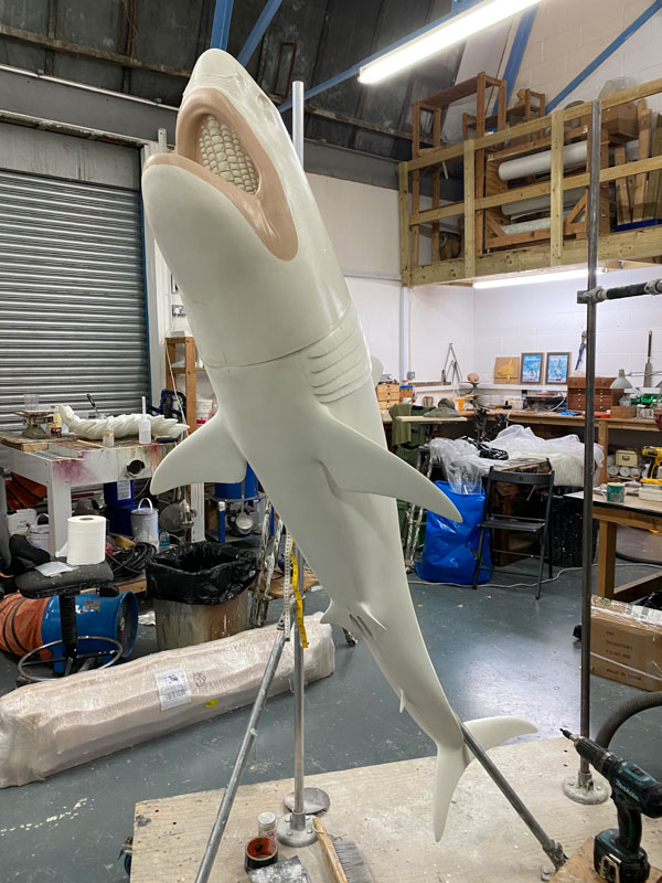A fibreglass shark model mounted on a stand almost vertically, with its head at the top of the image. In the background is workshop.