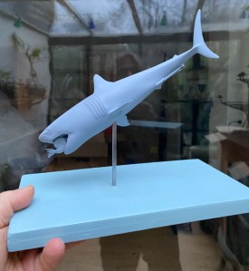 A hand holds out a wooden plinth, painted blue, onto which a 3D printed shark model is mounted on a vertical metal rod. The 3D print is also blue and is approximately 15cm  long.