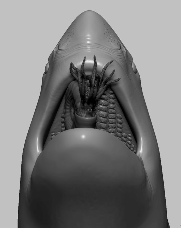 Digital 3D model of a shark, shown in grey, without any skin colouring or texture. The mouth is open and inside is an ammonite being crushed by the shark's plate-like teeth.