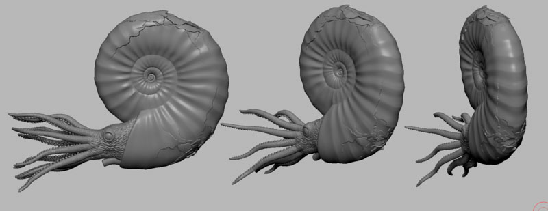 Digital 3D model of an ammonite, shown in grey, without any colouring or texture. The same model is shown from three angles of rotation from side on to almost edge-on, showing the spiral form of it's shell.