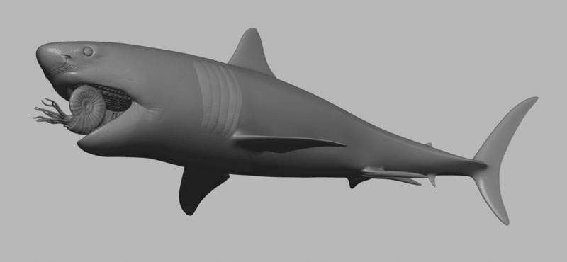 Digital 3D model of a shark, shown in grey, without any skin colouring or texture. The mouth is open and inside is an ammonite being crushed by the shark's plate-like teeth.