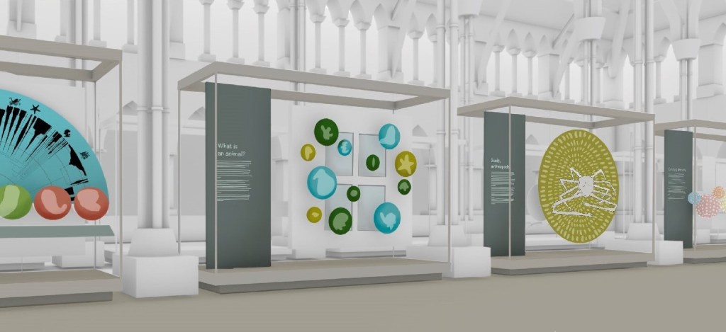 Artist's impression of how some of the new displays about the diversity of life will look