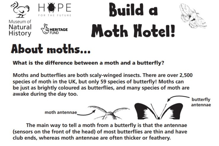 Illustrative image of moth hotel instruction sheet