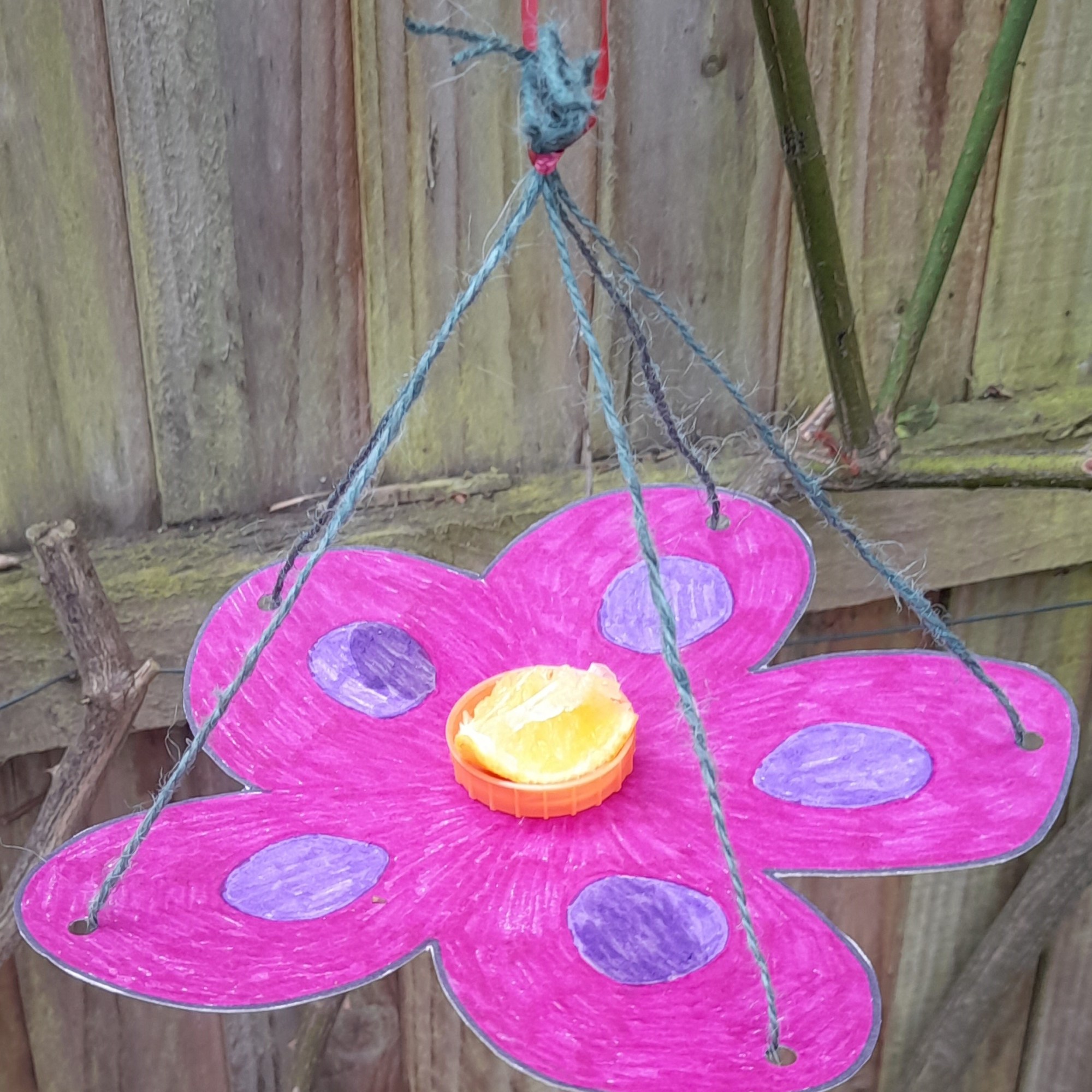 Example butterfly feeder hanging by a fence with a small piece of orange in the centre